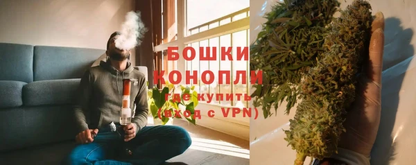 сатива Кодинск