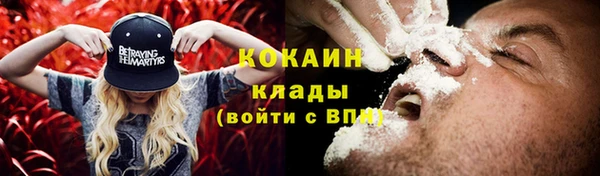 прущие грибы Костерёво