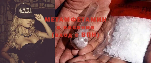 прущие грибы Костерёво