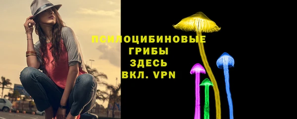 меф Козельск