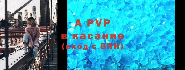 прущие грибы Костерёво
