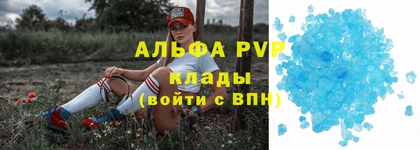 прущие грибы Костерёво