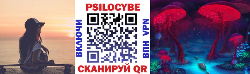 Псилоцибиновые грибы ЛСД  маркетплейс официальный сайт  Котельниково  наркошоп 